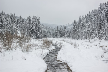 Winter nature mountain landscape