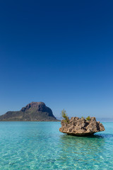 Crystal Rock im türkisen Wasser der Lagune bei Le Morne, Mauritius, Afrika, im Hintergrund der Berg Le Morne Brabant.