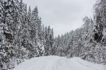 Winter nature mountain landscape