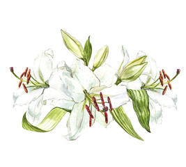 Watercolor set of white lilies, hand drawn botanical illustration of flowers isolated on a white background.