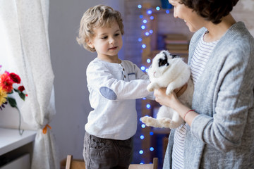 Portrait of cute blond boy playing with pet bunny while celebrating Easter with mom at home, copy...