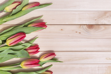 Red tulips on wooden background