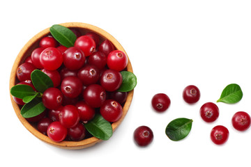 Cranberry isolated on white. With clipping path. Full depth of field. top view