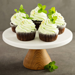 Chocolate mint cupcakes with green frosting