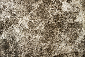 Polished silver galaxy marble. Real natural marble stone texture and surface background.