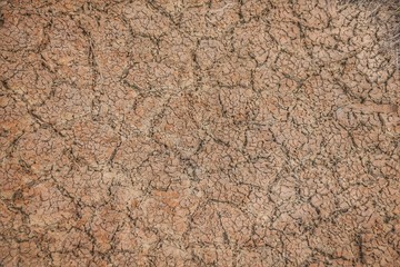 Arid dry cracked ground 