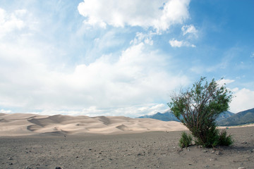 Great Sand Dunes, Colorado, USA