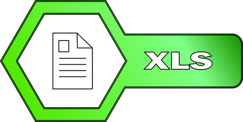 Hexagonal icon for XLS files - vector