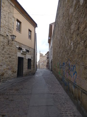 Fototapeta na wymiar Zamora, ciudad de la comunidad de Castilla y León, al noroeste de España