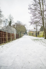 Street with houses and snow in winter time