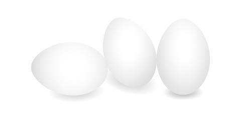 Three Realistic eggs. White chicken eggs. Vector 3D eggs with shadows on white background. Template Easter eggs, food concept. AI10