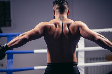 Rear view of muscular young male boxer standing looking away. Fit young man wearing boxing gloves