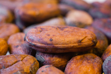 Aromatic cocoa beans