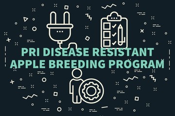 Conceptual business illustration with the words pri disease resistant apple breeding program