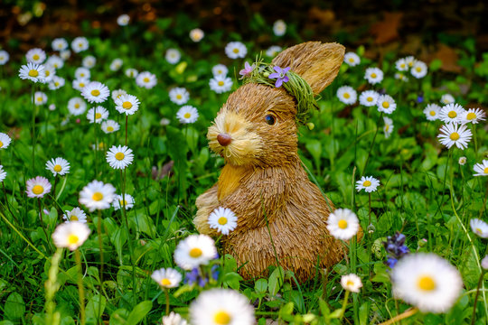 Jouet lapin en paille dans le champ de paquerettes au printemps.