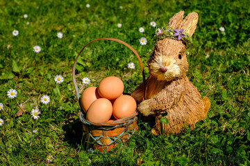 Jouet lapin en paille avec un panier des oeufs dans le champ de paquerettes au printemps.