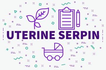 Fototapeta na wymiar Conceptual business illustration with the words uterine serpin
