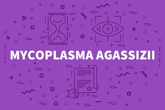 Conceptual business illustration with the words mycoplasma agassizii