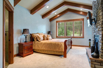 Chic master bedroom with vaulted ceiling