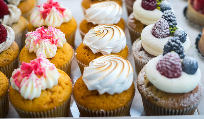 Muffins at Chocolate Exhibition, 