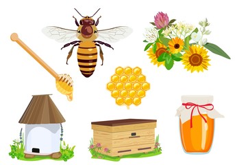 Design and products of beekeeping. Honey. Useful insects. Vector illustration