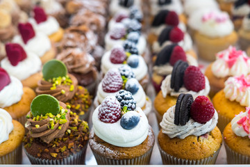 Muffins at Chocolate Exhibition , 