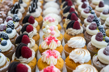 Muffins at Chocolate Exhibition , 