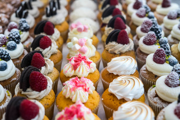 Muffins at Chocolate Exhibition , 