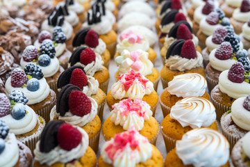 Muffins at Chocolate Exhibition , 