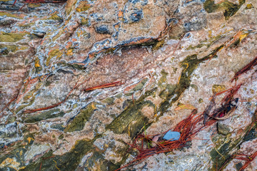 colored rocks and pine needles