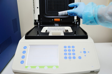A scientist with a glove hand places a DNA sample in a real time PCR-cyclist