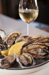 Fresh Oysters with Lemon Slice on a Platter of Ice with a Glass of white Wine