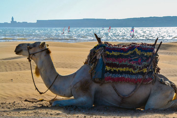 Essaouira City Morocco Cityscape