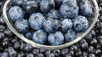 Small and big blueberries in a glass bowl. Vaccinium myrtillus. Decorative background with the close-up of fresh sweet bilberries with water droplets.