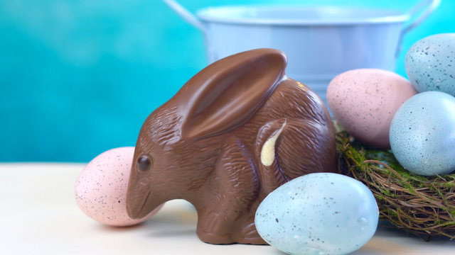 Australian milk chocolate Bilby Easter egg with eggs in nest against a blue and white background with copy space.