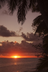 Obraz na płótnie Canvas Sunset over Lagoon framed from Coco Palms