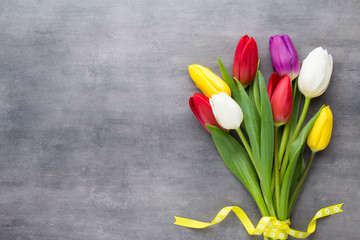 Multicolored spring flowers, tulip on a gray background.