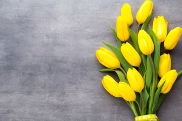 Yellow spring flowers, tulip on a gray background.