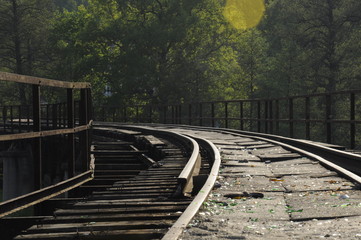 Tory © Piotr Wawruch