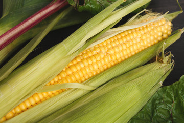 Corn on wooden background