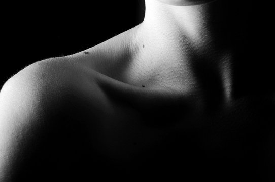 Body