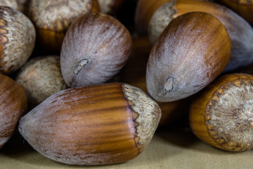 Tasty hazelnuts on a wooden kitchen table. Forest specialties and kitchen accessories.