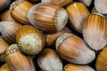 Tasty hazelnuts on a wooden kitchen table. Forest specialties and kitchen accessories.
