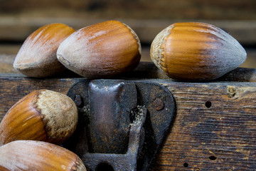 Tasty hazelnuts on a wooden kitchen table. Forest specialties and kitchen accessories.