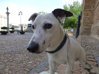 Playa de Los Caños de Meca, población costera situado en el término municipal de Barbate, en la provincia de Cádiz (Andalucia,España)