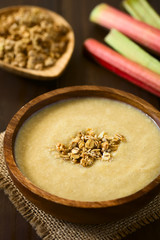 Hausgemachter Rhabarbermousse mit Knuspermüsli bestreut, fotografiert mit natürlichem Licht (Selektiver Fokus, Fokus in die Mitte des Desserts)