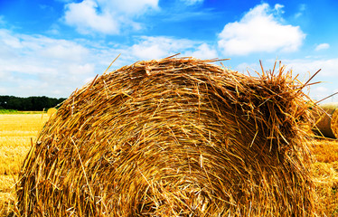 Strohballen auf einem Getreidefeld nach der Ernte im Spätsommer