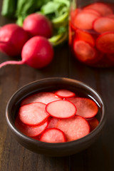 In Rotweinessig eingelegte frische Radieschen, fotografiert mit natürlichem Licht (Selektiver Fokus, Fokus auf die Vorderkante der obersten Radieschenscheibe)