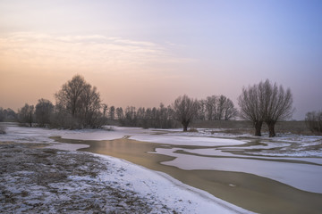 Wierzby nad zamarzniętym rzecznym rozlewiskiem © Piotr Szpakowski