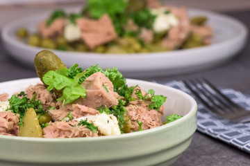 A bowl of healthy tuna salad on dark background- closeu